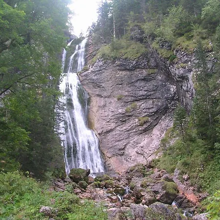 Gasthof Alpengasthof Geiselstein Buching